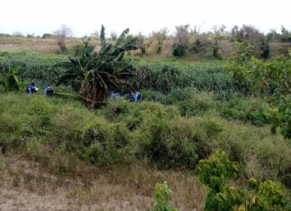 Acribillan a tres jóvenes en el sector de la Rivera Hernández, en SPS