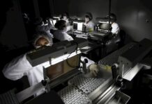 Científicos identifican posible nuevo tratamiento antiviral contra la covid