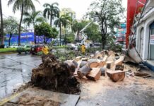 Nace la tormenta tropical Dolores en el Pacífico mexicano