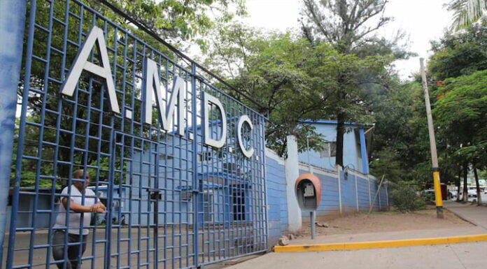 Colectivos de Libre denuncian millonario desperdicio de alimentos en alcaldía capitalina