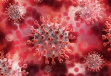 Al menos 35 de cada 100 hondureños están contagiados de covid, según autoridades de Salud