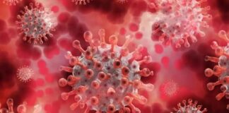 Al menos 35 de cada 100 hondureños están contagiados de covid, según autoridades de Salud