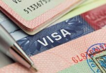 Un total de 2 mil visas de empleo temporal ofrece a Honduras EE.UU.