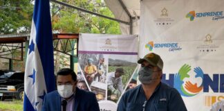 Gobierno fortalece las capacidades de producción con asistencia técnica