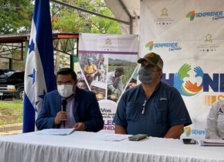Gobierno fortalece las capacidades de producción con asistencia técnica
