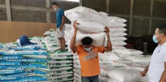 Productores Agrícolas de El Paraíso Reciben Capital Semilla