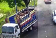 En Choluteca dos personas son arrestadas por robo de ´caballos´