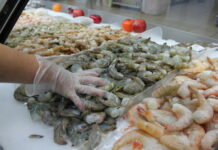 Honduras ha recibido 100 millones de dólares en divisas por la exportación de camarón en lo que va del año