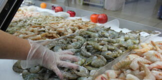 Honduras ha recibido 100 millones de dólares en divisas por la exportación de camarón en lo que va del año