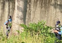 Ingeniero Industrial desaparecido es encontrado muerto en colonia Trejo de SPS