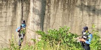 Ingeniero Industrial desaparecido es encontrado muerto en colonia Trejo de SPS