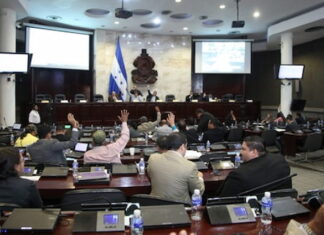 La mayoría de diputados ya se vacunaron contra el Covid-19 y se oponen a las reuniones presenciales, según Lenin Rodas