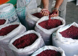 El ministro de la SAG garantiza el abastecimiento de frijoles con una reserva de 74 mil quintales