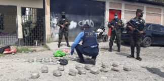 Detienen a dos ciudadanos en posesión de 65 libras de supuesta marihuana en Copán