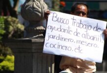 Un total de 445,000 hondureños aproximadamente se encuentran sin empleo en el país