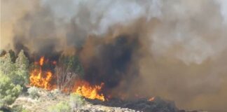 Los incendios arrasan miles de hectáreas en España durante el fin de semana