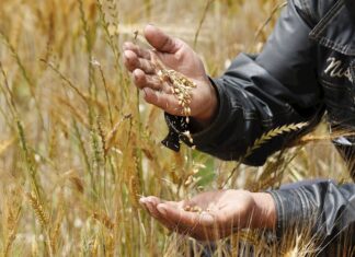 América destaca su posición unida sobre futuro de la producción de alimentos