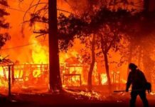 Más de 22 mil bomberos combaten 86 grandes incendios en Estados Unidos