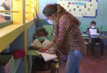 Dirigente Magisterial: Nuevo gobierno debe realizar un plan estratégico para mejorar la educación en Honduras