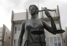 CSJ aprueba fase de implementación para el proceso del SEJE en 13 órganos jurisdiccionales