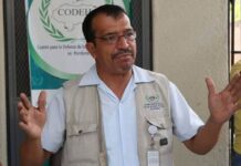 Presidente del CODEH detalló que Porfirio Lobo no es el único corrupto que hay en el país