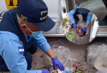 Capturan a dos hombres que intentaban introducir drogas dentro de carnes y pollo a privadas de libertad en PNFAS