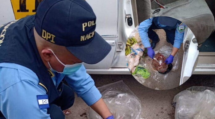 Capturan a dos hombres que intentaban introducir drogas dentro de carnes y pollo a privadas de libertad en PNFAS