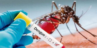 En un 300% han incrementado los casos de dengue en Tegucigalpa y Comayagüela