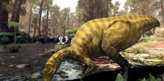Descubren en España los restos de una especie desconocida de dinosaurio