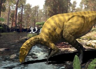 Descubren en España los restos de una especie desconocida de dinosaurio