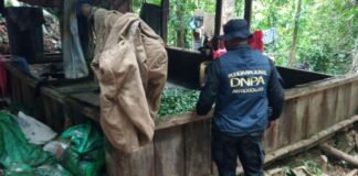 Tras un enfrentamiento aseguran plantaciones de coca y un narcolaboratorio en Colón