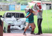 Entregan más de 66 mil sacos de fertilizantes a caficultores de Lempira