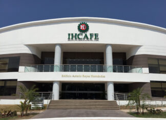 Honduras obtiene 75,20 dólares por una libra de café en subasta internacional