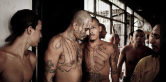 Señalan intento de frenar extradición a EEUU de líderes salvadoreños de MS13