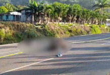 Motociclista muere tras impactar contra una vaca en Puerto Cortés