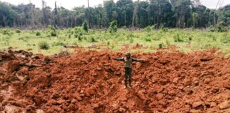 Destruyen narcopista en Brus Laguna, Gracias a Dios