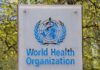 La OMS cumple 75 años: De la erradicación de la viruela a la covid-19