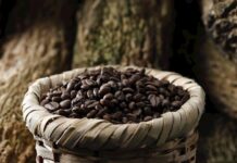 Ingresos por exportaciones de café hondureño suben 20,2 % por alza del precio