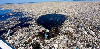 Contaminación por plásticos. ¿Hemos cruzado el punto de no retorno?
