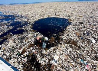 Contaminación por plásticos. ¿Hemos cruzado el punto de no retorno?