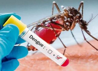 El dengue, un enemigo al acecho de los niños de América durante la pandemia