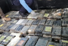 Ascienden a 93 los kilos droga decomisada en Colón