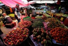 Honduras prevé un crecimiento económico de entre el 3,5 y 4,5 % en 2024 y 2025