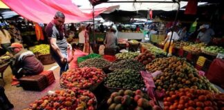 Honduras prevé un crecimiento económico de entre el 3,5 y 4,5 % en 2024 y 2025