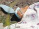Movimientos feministas solicitaron la creación de un equipo de elite para investigar muertes de mujeres en Honduras