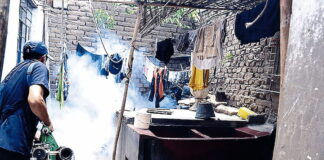 Intensifican las acciones para el control del dengue en el Distrito Central
