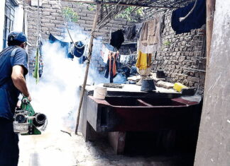 Intensifican las acciones para el control del dengue en el Distrito Central