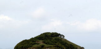 El Salvador no puede recuperar la Isla Conejo porque nunca le ha pertenecido, según excanciller de Honduras