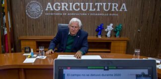 ONG revela nexo de red de empresas fantasma y organismo agrícola de México