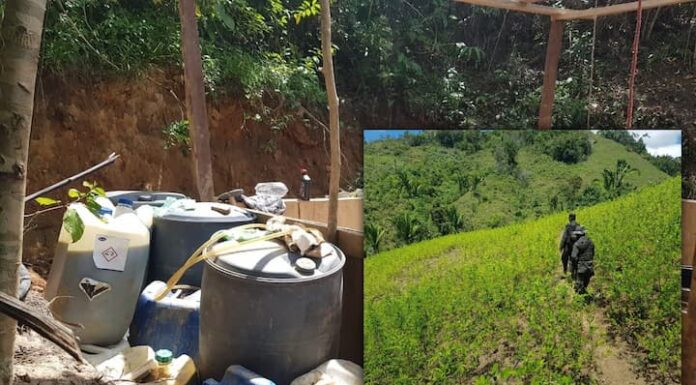 Aseguran otro narcolaboratorio y plantación de coca en Colón